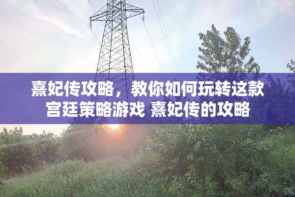 熹妃传攻略，教你如何玩转这款宫廷策略游戏 熹妃传的攻略