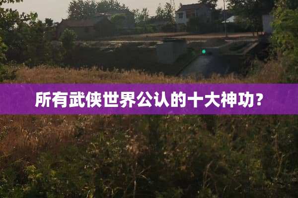 所有武侠世界公认的十大神功？