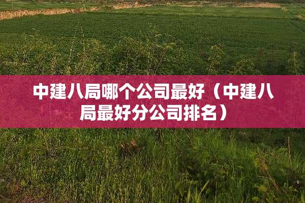 中建八局哪个公司最好（中建八局最好分公司排名）
