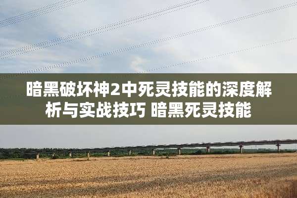 暗黑破坏神2中死灵技能的深度解析与实战技巧 暗黑死灵技能