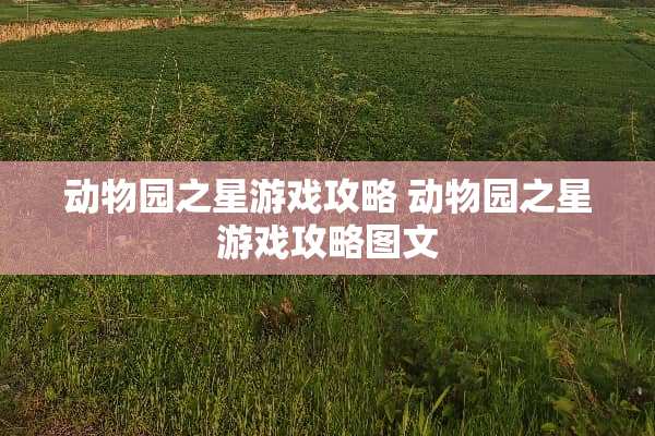 动物园之星游戏攻略 动物园之星游戏攻略图文