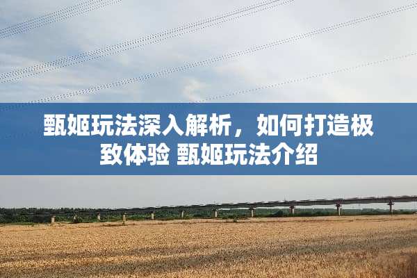 甄姬玩法深入解析，如何打造极致体验 甄姬玩法介绍