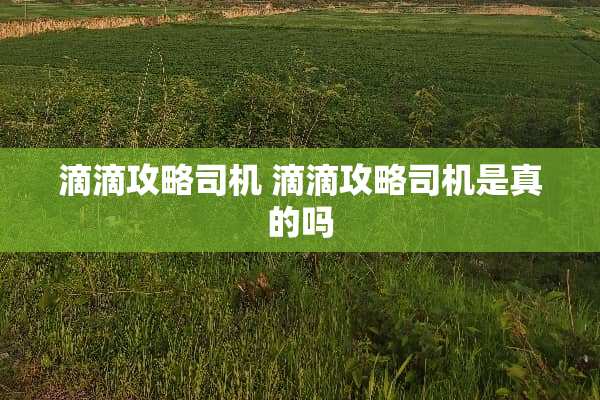 滴滴攻略司机 滴滴攻略司机是真的吗