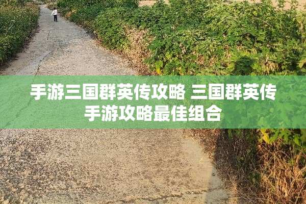 手游三国群英传攻略 三国群英传手游攻略最佳组合