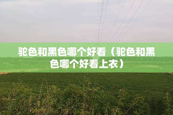 驼色和黑色哪个好看（驼色和黑色哪个好看上衣）