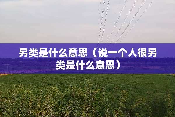 另类是什么意思（说一个人很另类是什么意思）