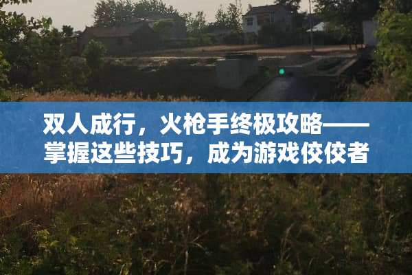 双人成行，火*手终极攻略——掌握这些技巧，成为游戏佼佼者 双人成行游戏攻略火*