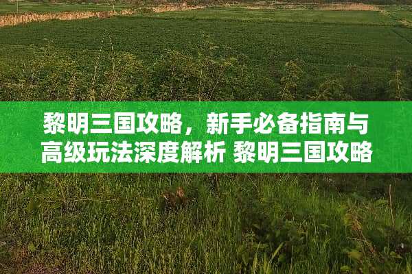 黎明三国攻略，新手必备指南与高级玩法深度解析 黎明三国攻略