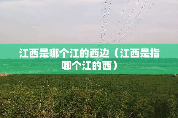 江西是哪个江的西边（江西是指哪个江的西）