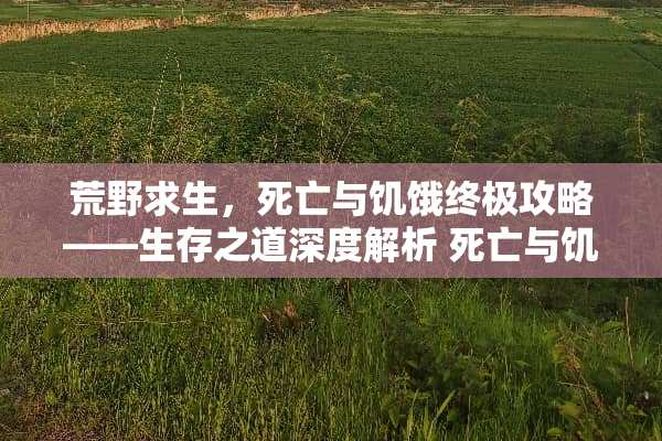 荒野求生，死亡与饥饿终极攻略——生存之道深度解析 死亡与饥饿游戏攻略