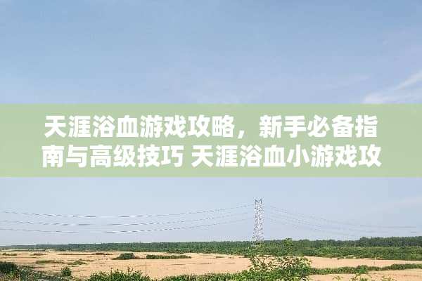 天涯浴血游戏攻略，新手必备指南与高级技巧 天涯浴血小游戏攻略