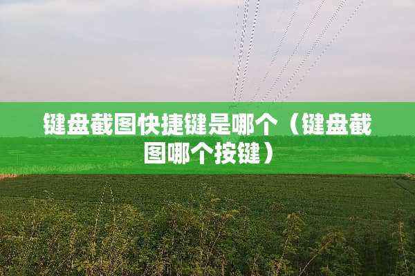 键盘截图快捷键是哪个（键盘截图哪个按键）