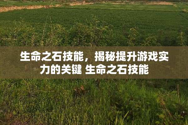 生命之石技能，揭秘提升游戏实力的关键 生命之石技能