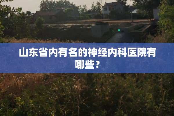 山东省内有名的神经内科医院有哪些？