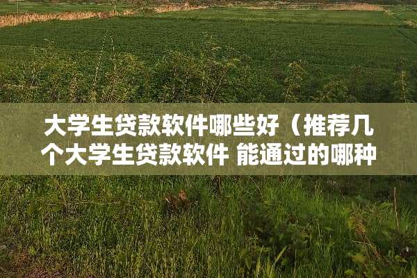 大学生贷款软件哪些好（推荐几个大学生贷款软件 能通过的哪种）