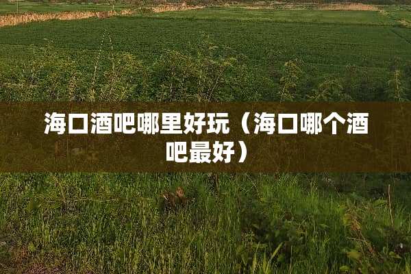 海口酒吧哪里好玩（海口哪个酒吧最好）