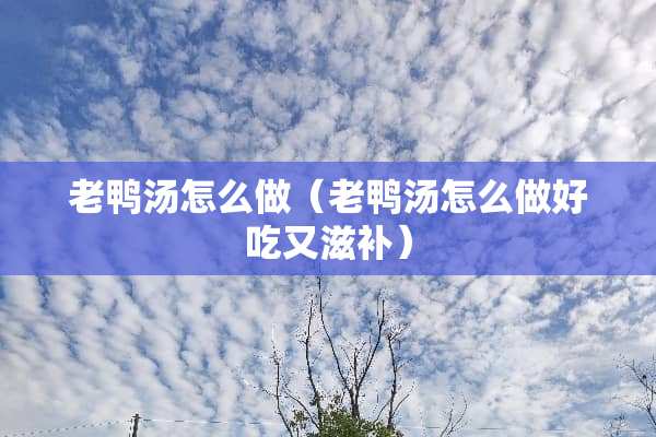 老鸭汤怎么做（老鸭汤怎么做好吃又滋补）