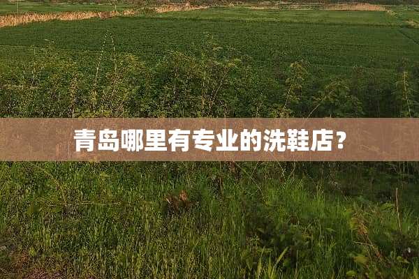青岛哪里有专业的洗鞋店？