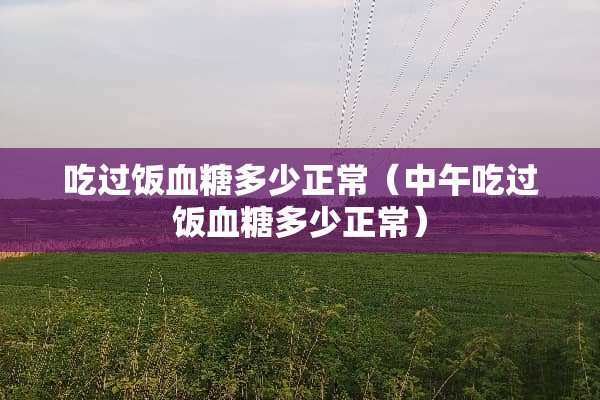 吃过饭血糖多少正常（中午吃过饭血糖多少正常）