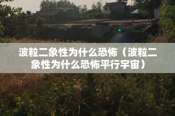 波粒二象性为什么恐怖（波粒二象性为什么恐怖平行宇宙）