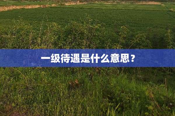 一级待遇是什么意思？