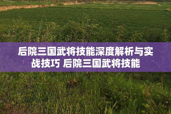 后院三国武将技能深度解析与实战技巧 后院三国武将技能