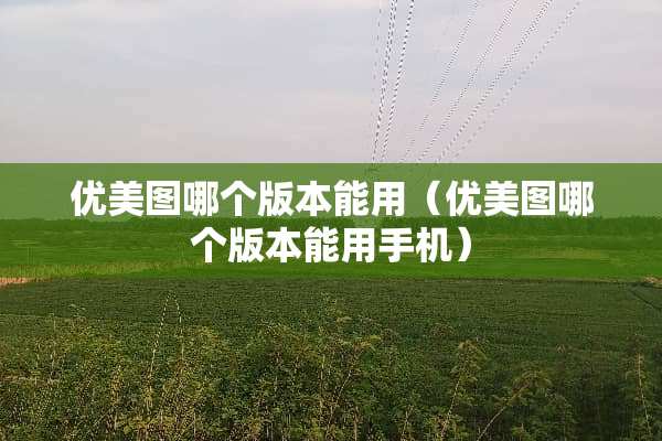 优美图哪个版本能用（优美图哪个版本能用手机）