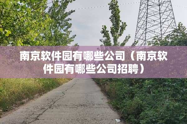 南京软件园有哪些公司（南京软件园有哪些公司招聘）