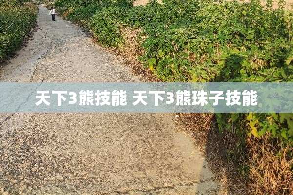 天下3熊技能 天下3熊珠子技能