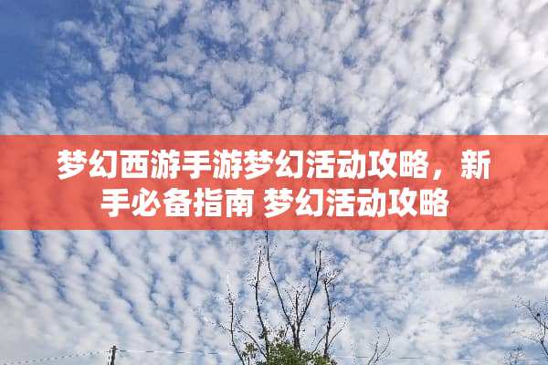 梦幻西游手游梦幻活动攻略，新手必备指南 梦幻活动攻略