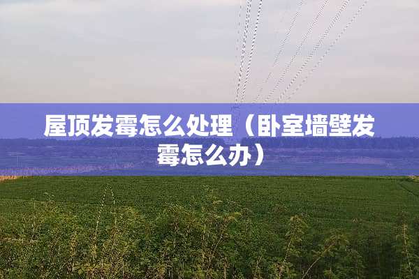 屋顶发霉怎么处理（卧室墙壁发霉怎么办）