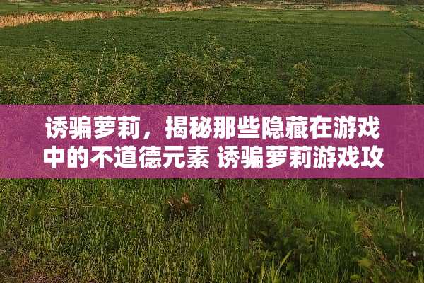 诱骗萝莉，揭秘那些隐藏在游戏中的不道德元素 诱骗萝莉游戏攻略