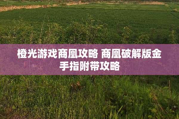 橙光游戏商凰攻略 商凰破解版金手指附带攻略