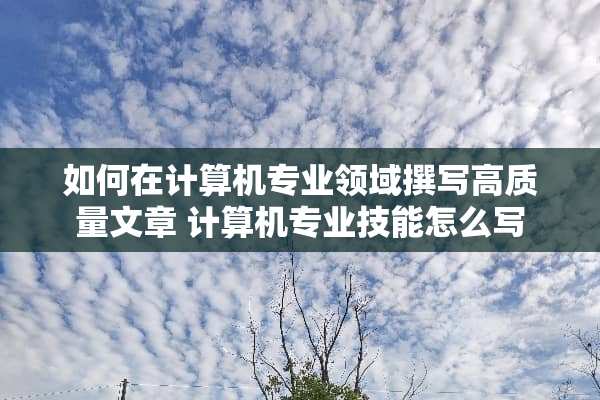如何在计算机专业领域撰写高质量文章 计算机专业技能怎么写
