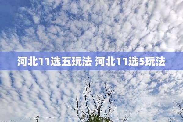 河北11选五玩法 河北11选5玩法