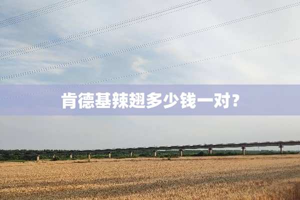 肯德基辣翅多少钱一对？
