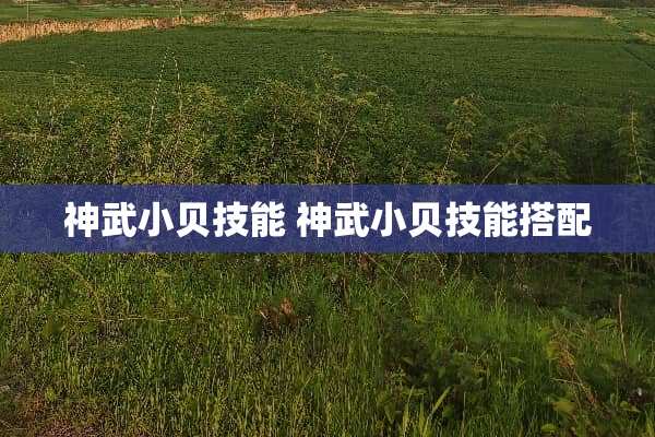 神武小贝技能 神武小贝技能搭配