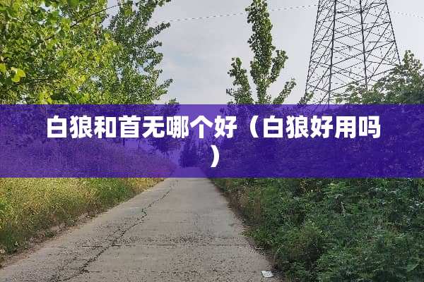 白狼和首无哪个好（白狼好用吗）