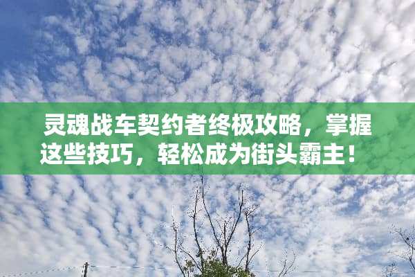 灵魂战车契约者终极攻略，掌握这些技巧，轻松成为街头霸主！ 灵魂战车契约者游戏攻略