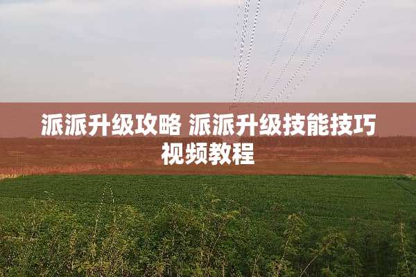 派派升级攻略 派派升级技能技巧视频教程