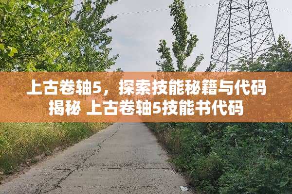 上古卷轴5，探索技能秘籍与代码揭秘 上古卷轴5技能书代码