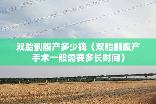 双胎剖腹产多少钱（双胎剖腹产手术一般需要多长时间）