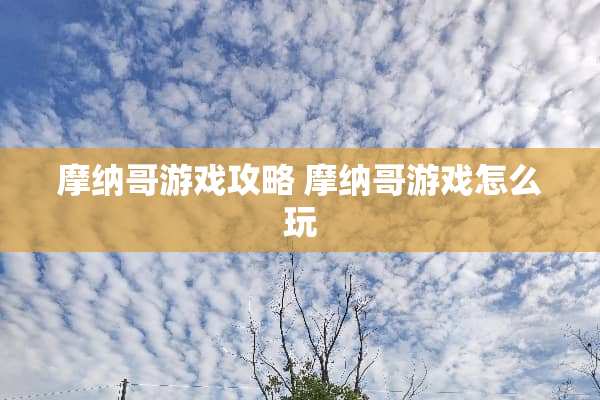 摩纳哥游戏攻略 摩纳哥游戏怎么玩