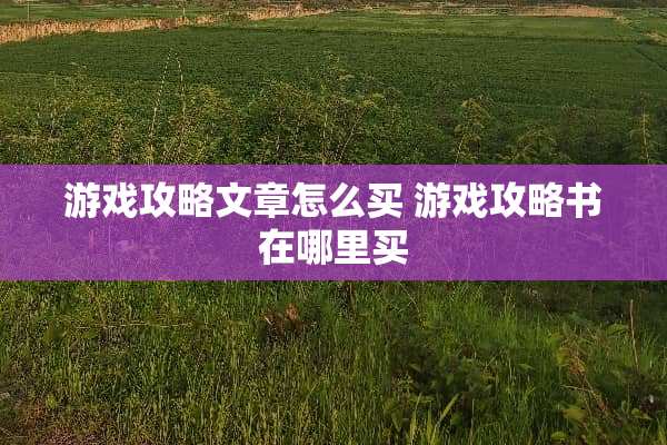 游戏攻略文章怎么买 游戏攻略书在哪里买