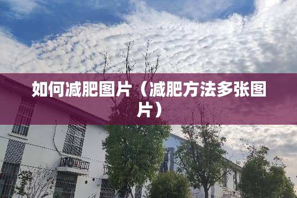 如何减肥图片（减肥方法多张图片）