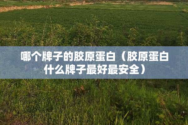 哪个牌子的胶原蛋白（胶原蛋白什么牌子最好最安全）