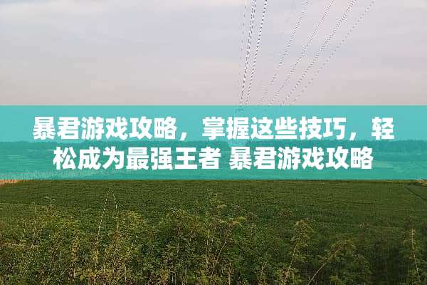 暴君游戏攻略，掌握这些技巧，轻松成为最强王者 暴君游戏攻略