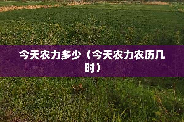 今天农力多少（今天农力农历几时）