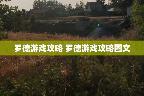 罗德游戏攻略 罗德游戏攻略图文