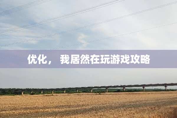 优化, 我居然在玩游戏攻略 优化, 我居然在玩游戏攻略